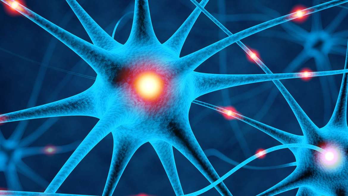 Mitochondrial Dysfunction & The Nervous System | El Paso Health Coach