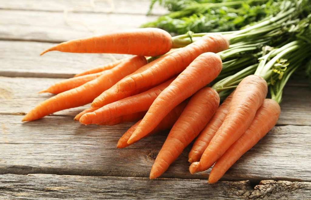 Image of carrots.