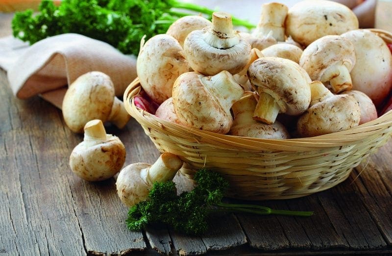 Image of mushrooms.