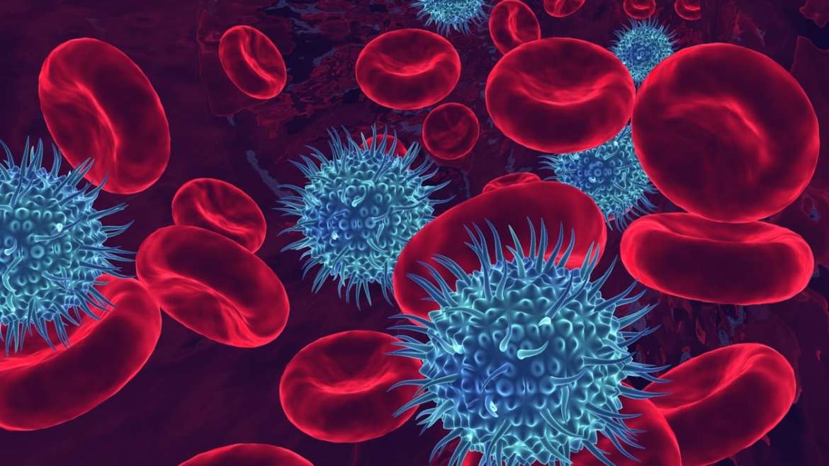 Image showing HIV/AIDS and opportunistic infections in the bloodstream.