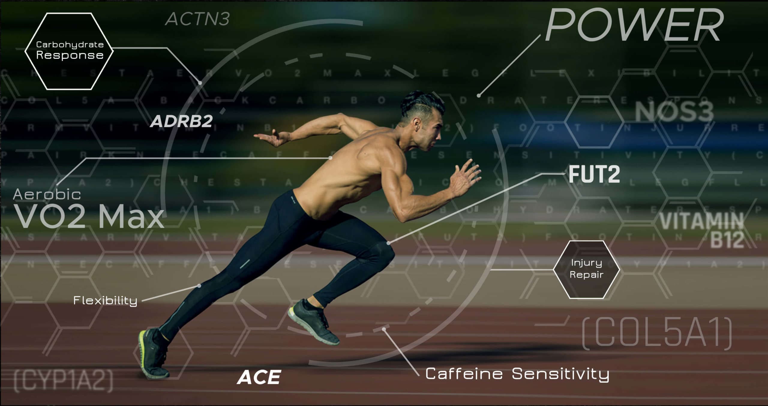 effect of sports on academic performance raw data set