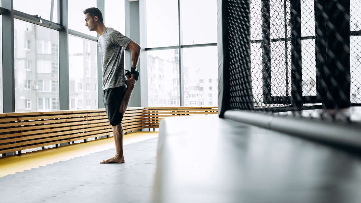 Gene Variations Influencing Inflammation and Injuries in Sport.