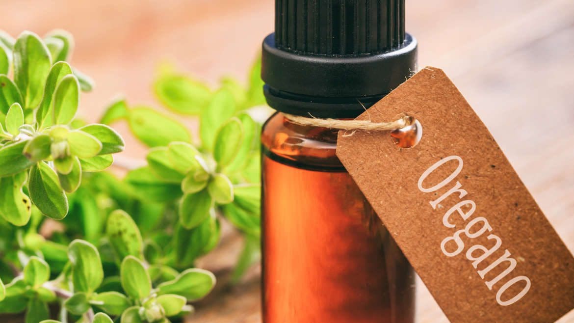Oregano
